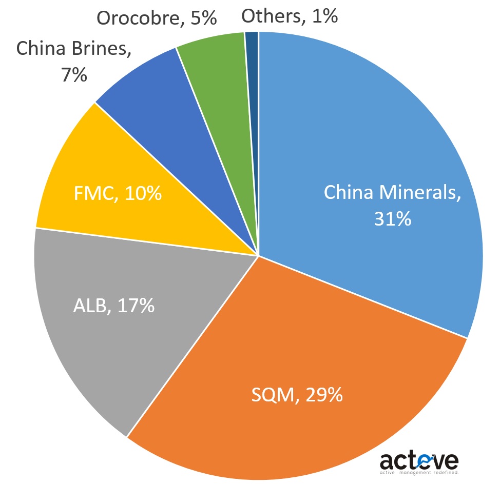 Lithium market share